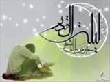 خبرهای دانشگاه