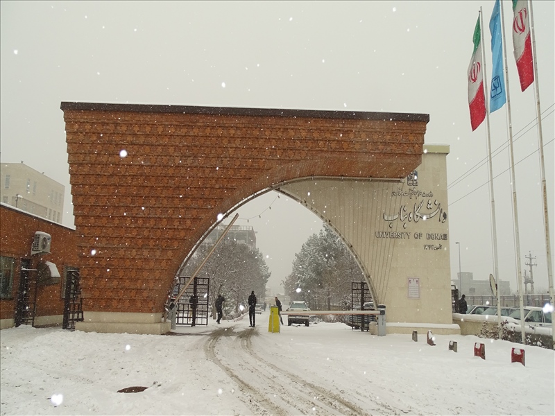 علی نجف‌زاده