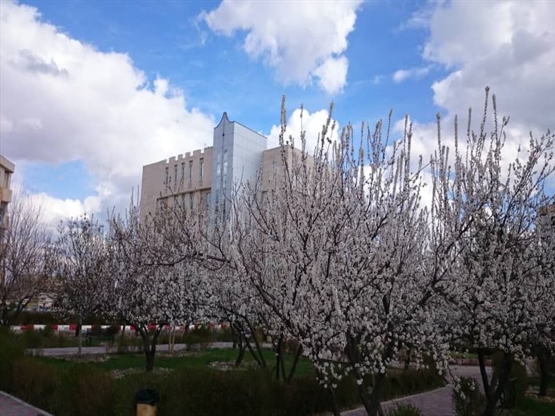 نورالدین مزین