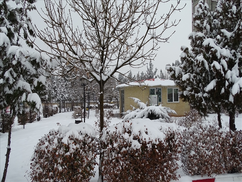 مهدی پوراصل